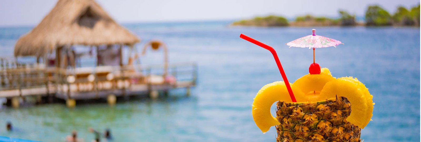 home-galeria-full (1)