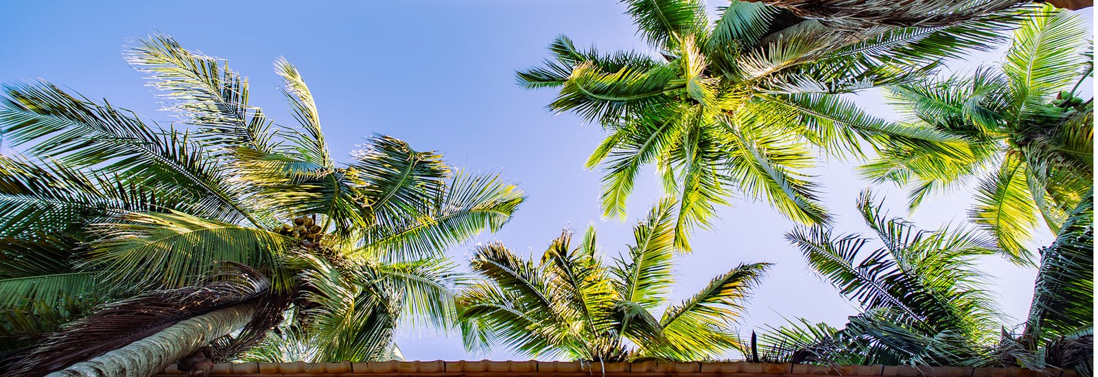 home-galeria-full (4)